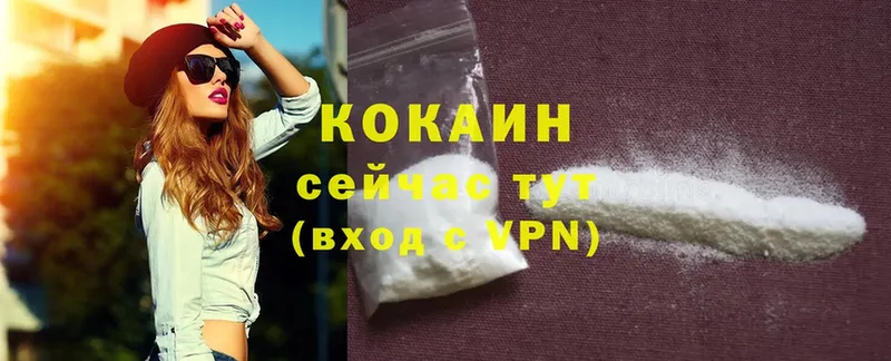 Cocaine Columbia  это как зайти  Берёзовка 